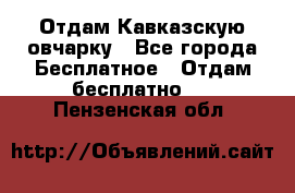 Отдам Кавказскую овчарку - Все города Бесплатное » Отдам бесплатно   . Пензенская обл.